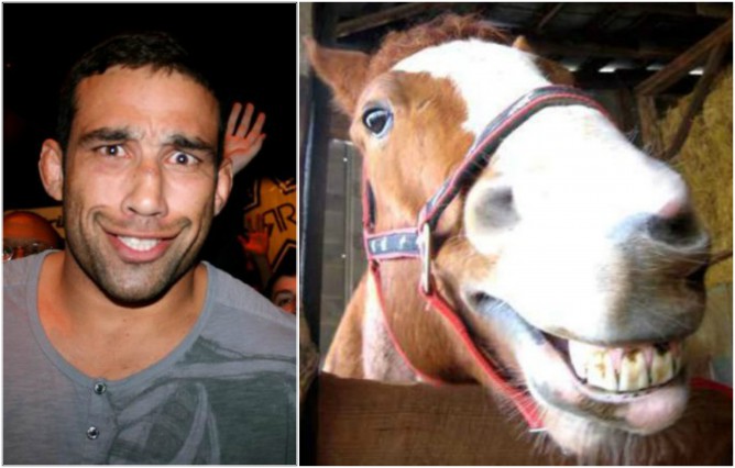 Fabricio Werdum and a smiling horse