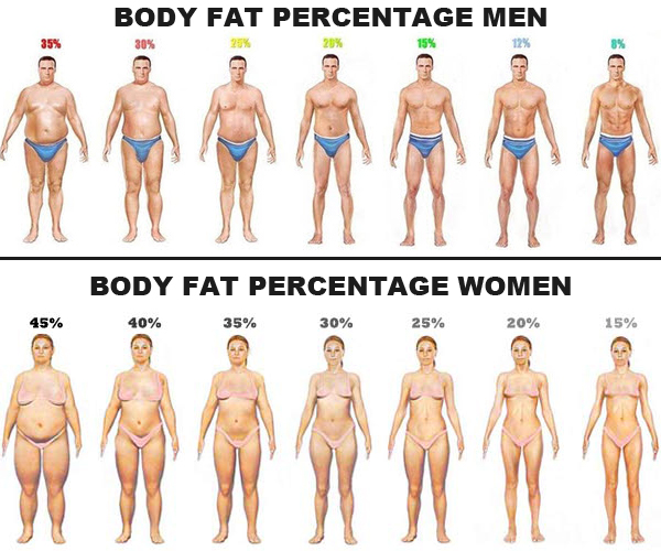 Body Fat Range For Women 42