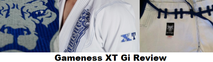 Gameness XT Gi Review