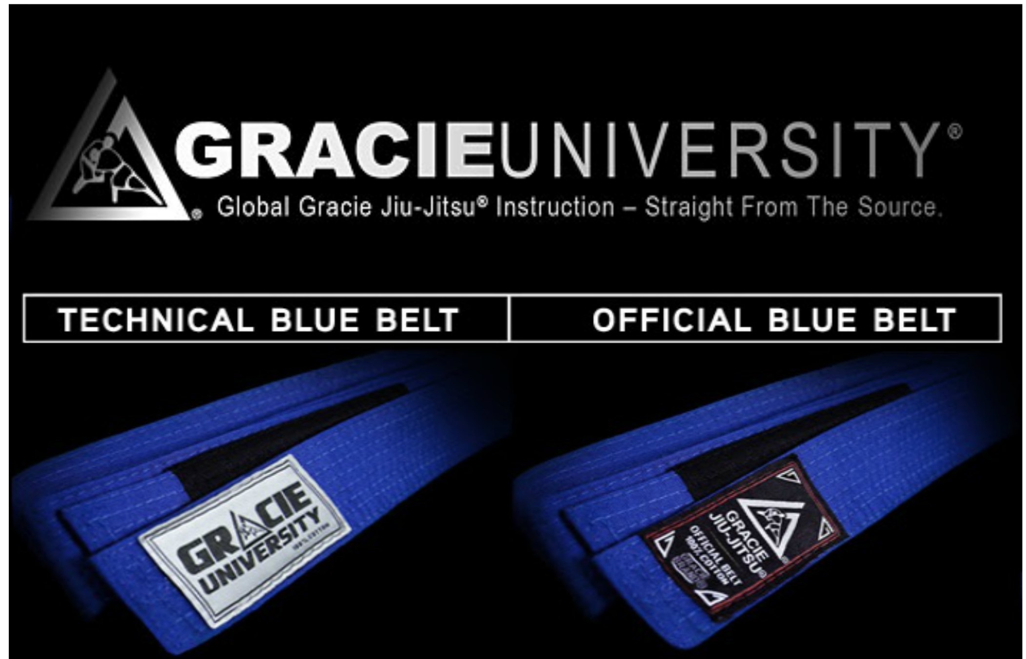 Is the Controversial Online Gracie University Ruining Jiu-Jitsu?