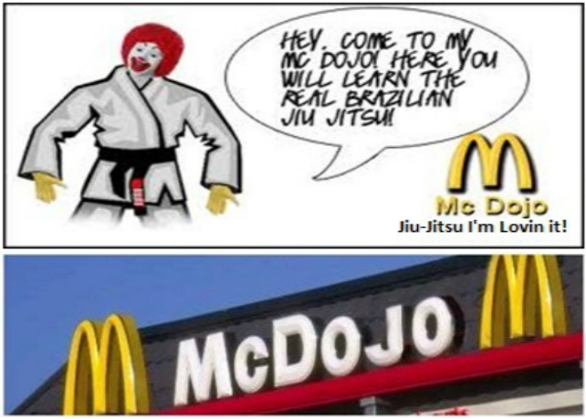 McDojos: How To Recognize Them And What To Do