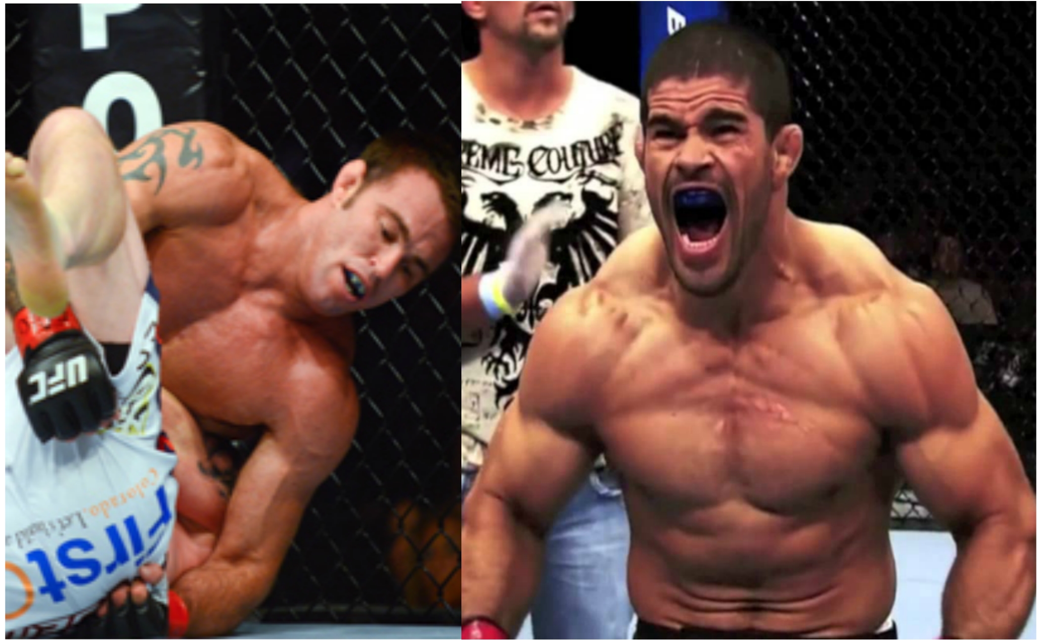Jake Shields: ‘Rousimar Palhares is a Sociopath’