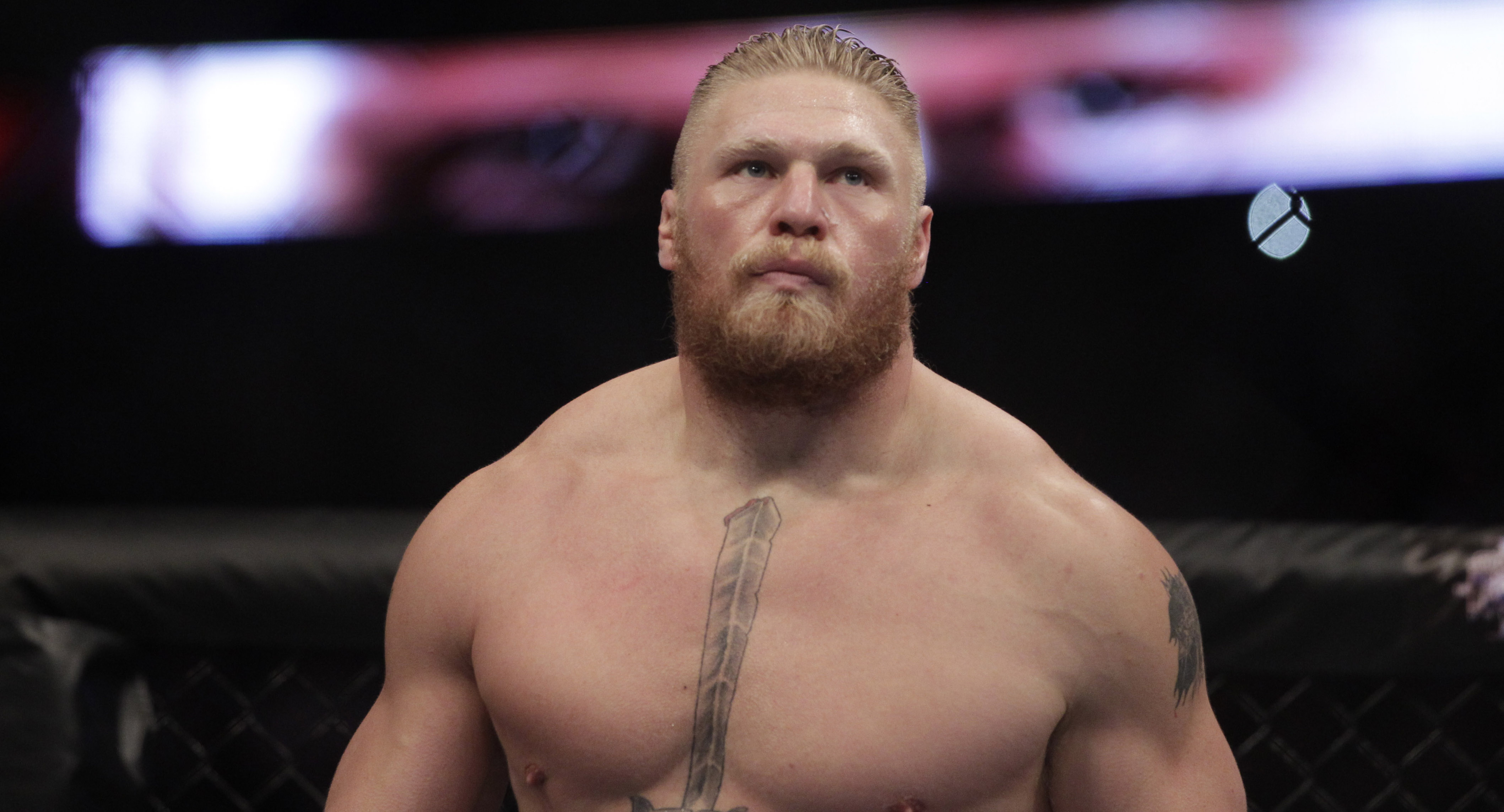 Brock Lesnar: ‘Ronda Rousey is a Man Amongst Women’