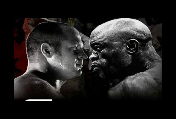 Chael Sonnen: ‘UFC is Trying To Put Together Fedor vs Anderson Silva’