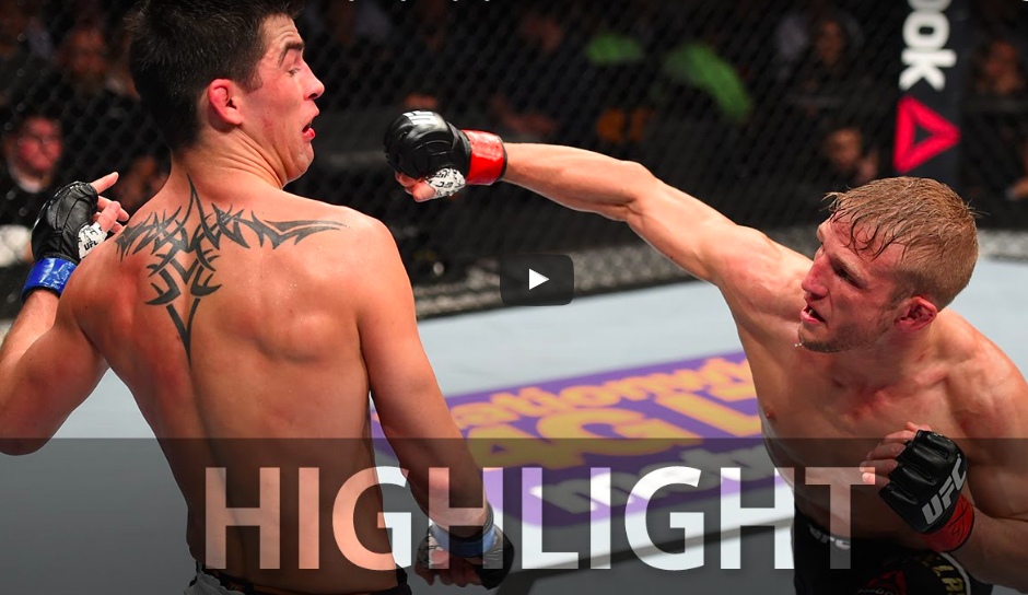 T.J. Dillashaw vs. Dominick Cruz – UFC Fight Night Highlights