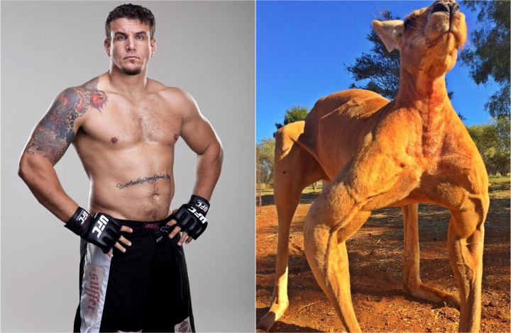 Frank Mir Blames Kangaroo Meat For Failed UFC Drug Test