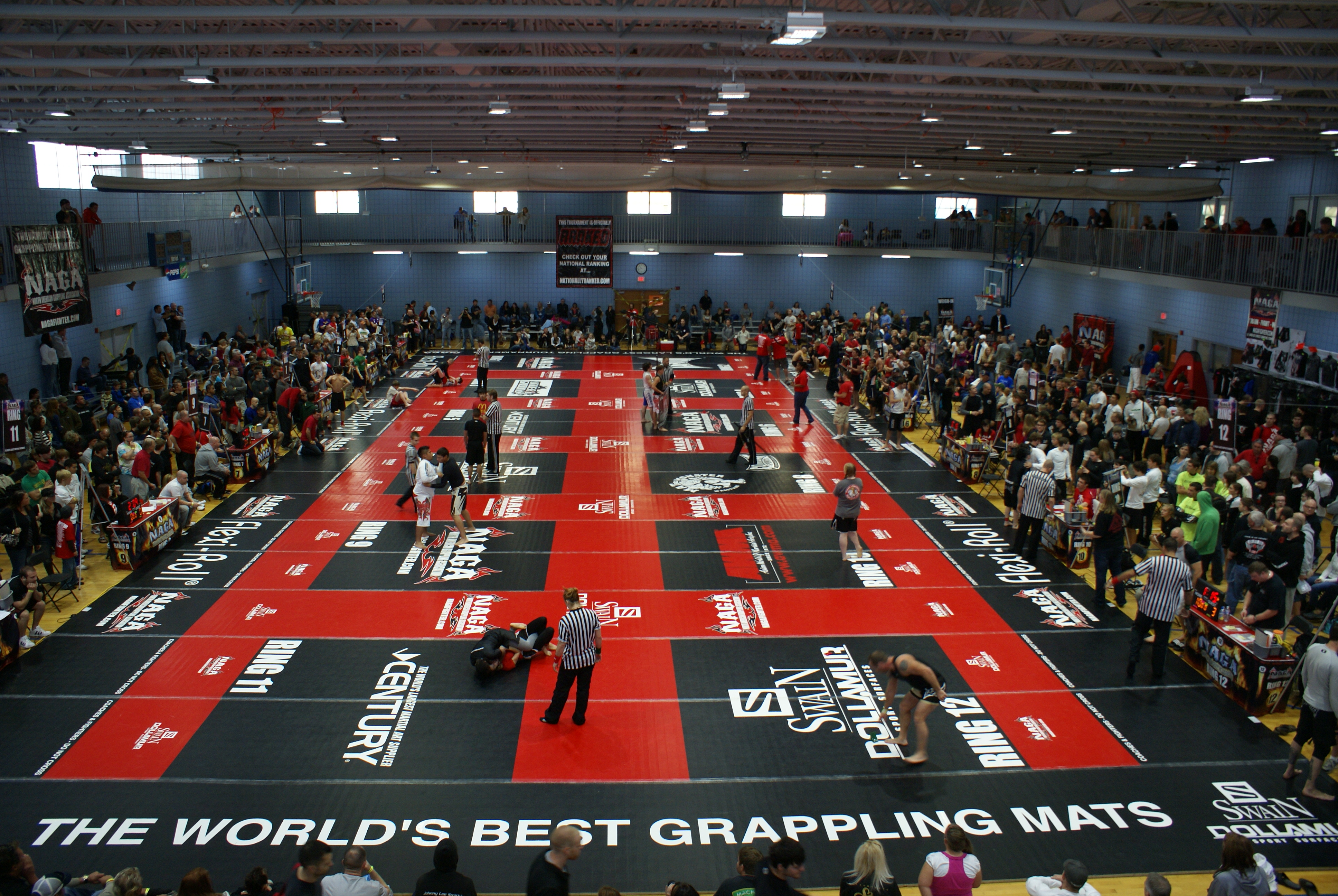Report: Naga Grappling Made $4 Million in 2015