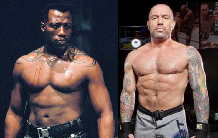 Joe Rogan Once Planned To Choke Out Wesley Snipes In An MMA Fight