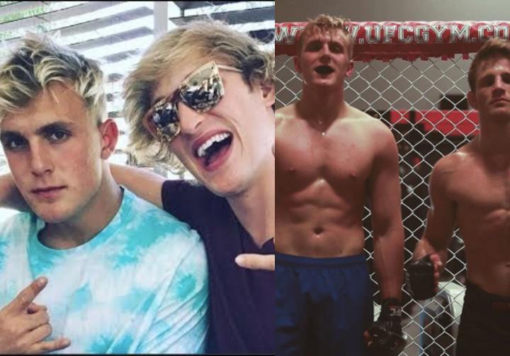 Logan & Jake Paul Looking To Transition To MMA & Want To Face CM Punk