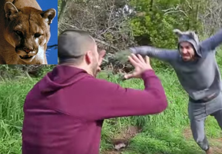 Gracie Breakdown: How To Use Jiu-Jitsu When Attacked by a Mountain Lion