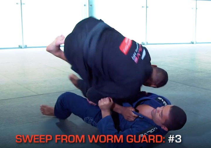 5 Sweeps From Worm Guard
