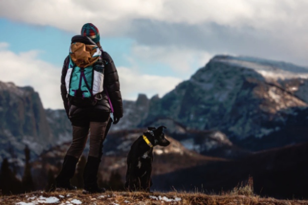 5 Best Adventure Dog Breeds for the Active Outdoorsman