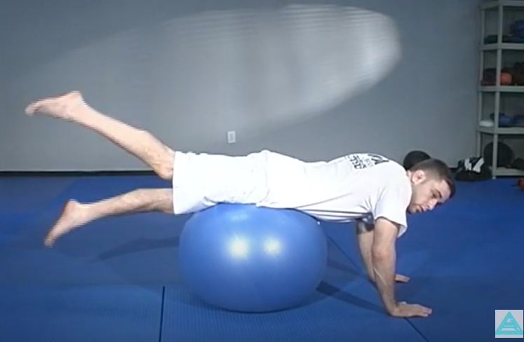 Pilates For Brazilian Jiu-Jitsu with Ryan Hall