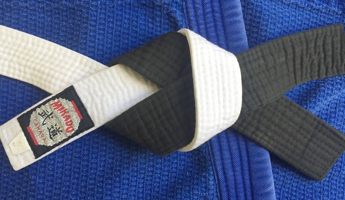 What is The Difference in Skill Between a White-Blue Belt & Brown-Black Belt in BJJ?