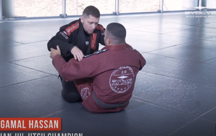 All You Need To Know About Passing The Butterfly Guard