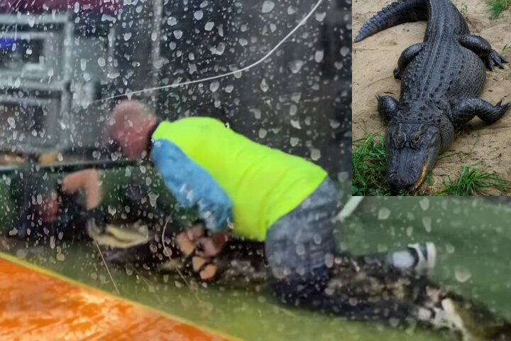 BJJ Guy Mounts an Alligator And Saves a Woman’s Life