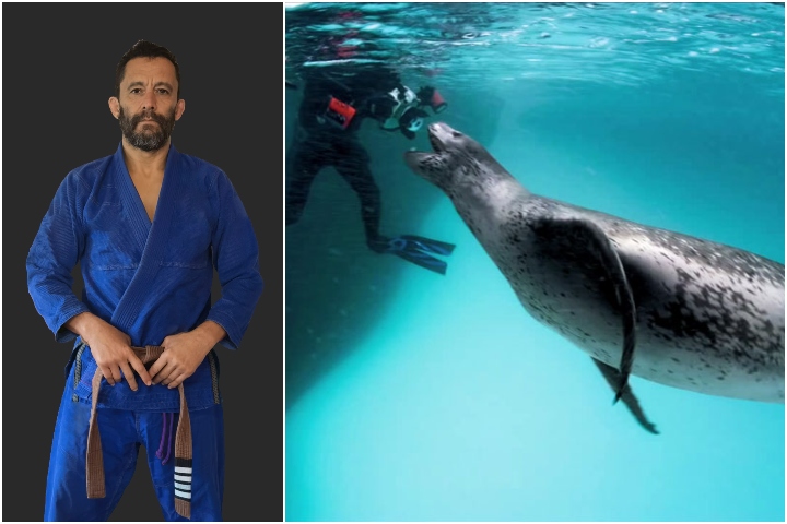 Jiu-Jitsu Instructor Attacked by a Leopard Seal: “BJJ Saved My Life”