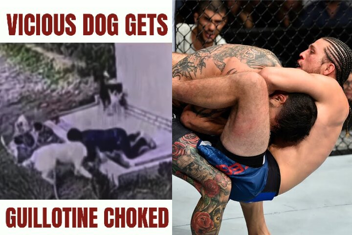 Watch: Guy Defends Against Dog Attack with a Guillotine Choke