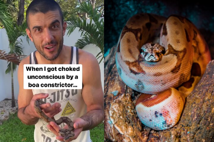 Rener Gracie Recalls The Time When He Got Choked Out by a Boa Constrictor