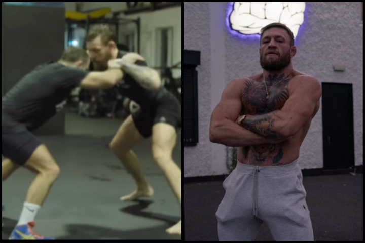 [Watch] Conor McGregor Shows Off Wrestling Skills In Recent Video