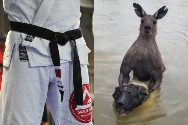 [WATCH] Australian BJJ Black Belt Punches Kangaroo To Save His Dog