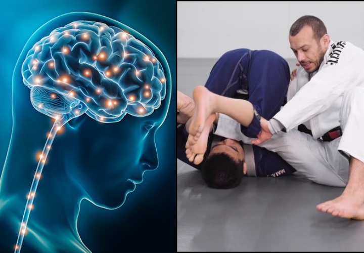 The Fascinating Link Between Neuroscience and Jiu-Jitsu